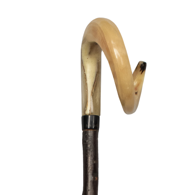 Ram's Horn Crook Walking Stick